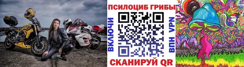 Псилоцибиновые грибы мухоморы  Николаевск 
