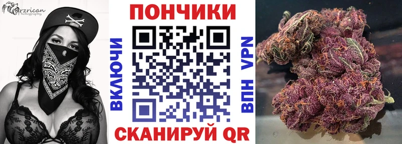 закладка  Николаевск  Каннабис Ganja 